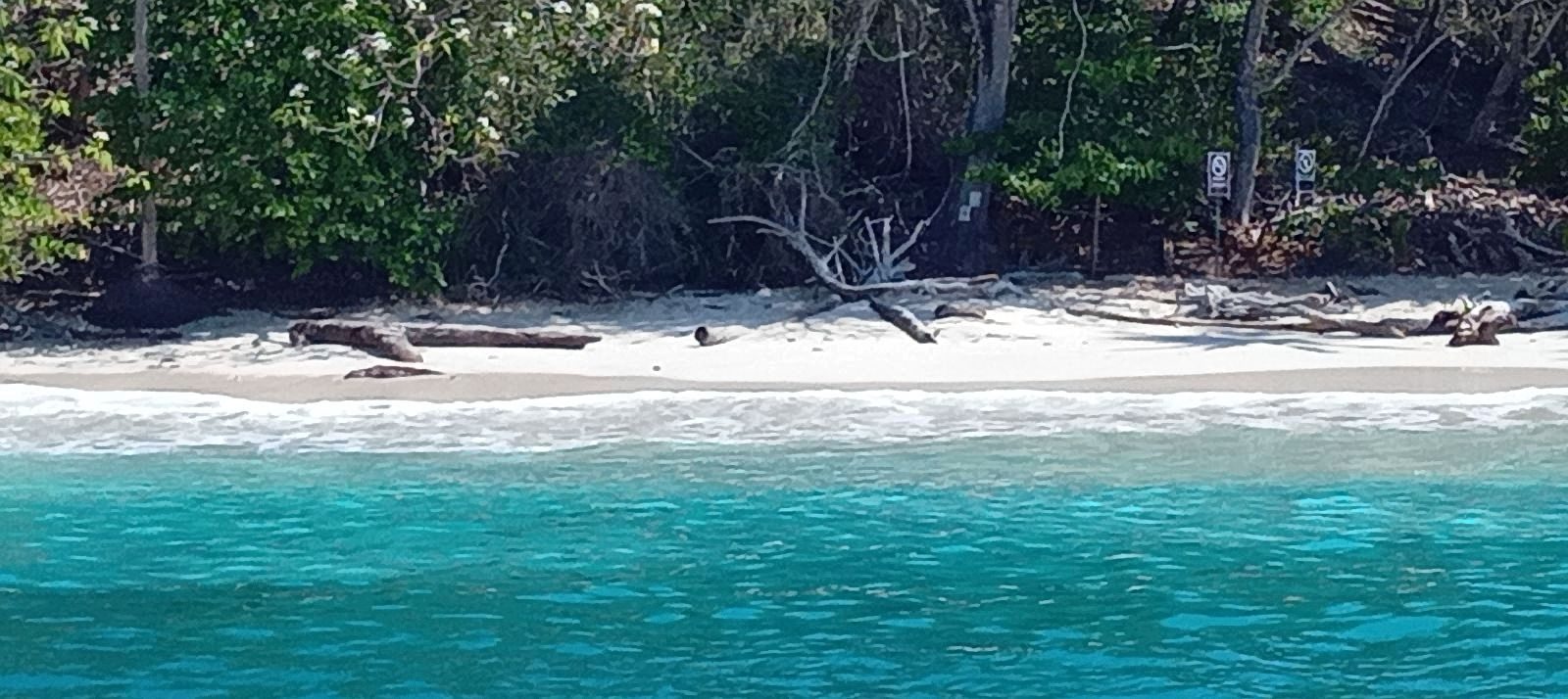 Beach panorama