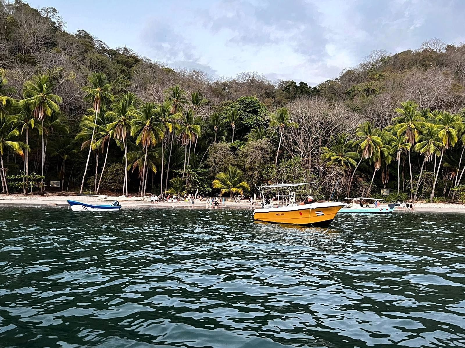Coastline panorama