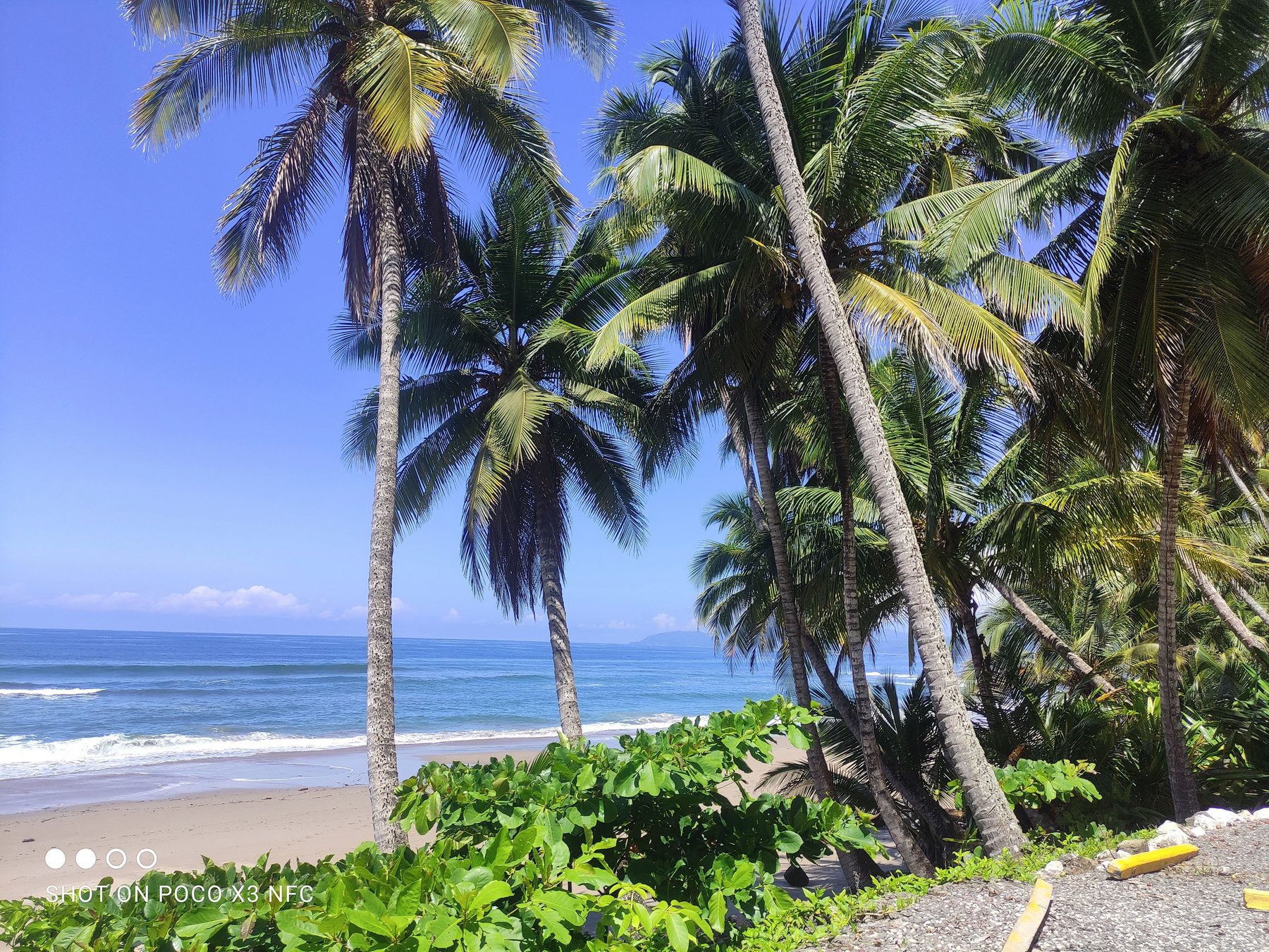 Wild Pacific shore