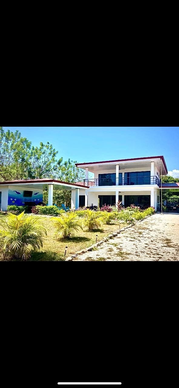 Jungle Retreat by the Ocean