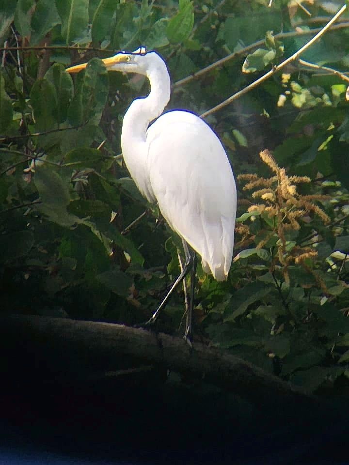  Hike in Curú Wildlife National Park 