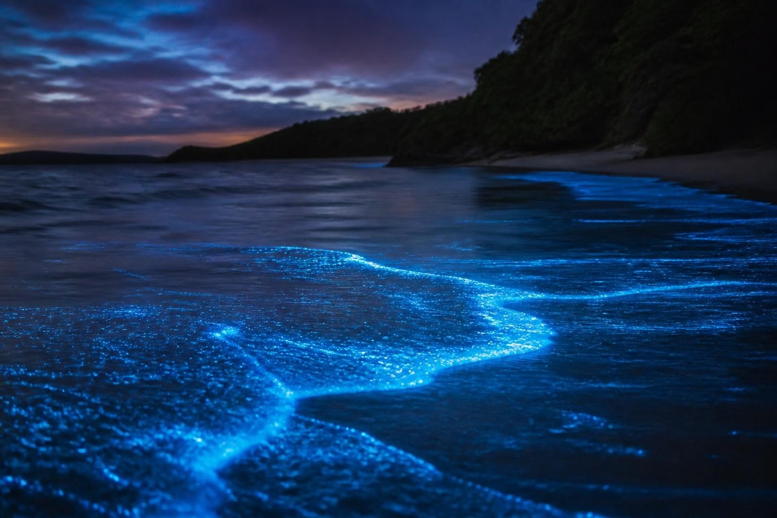 Bioluminescence Tour Costa Rica: Complete 2026 Guide